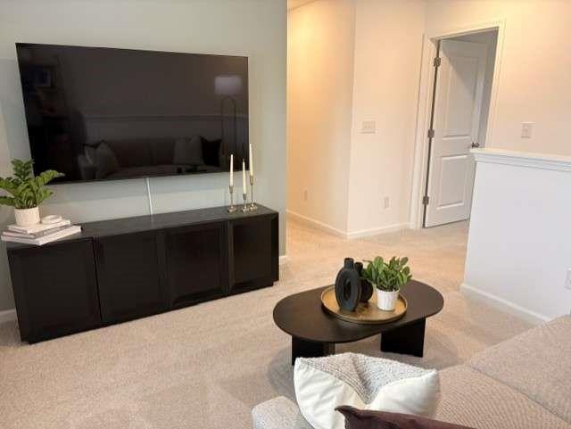 210 Pondview Drive Property Photo 26