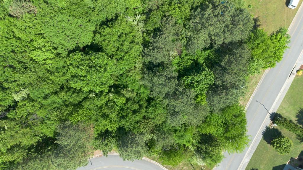 111 Jarrett Drive Property Photo 18