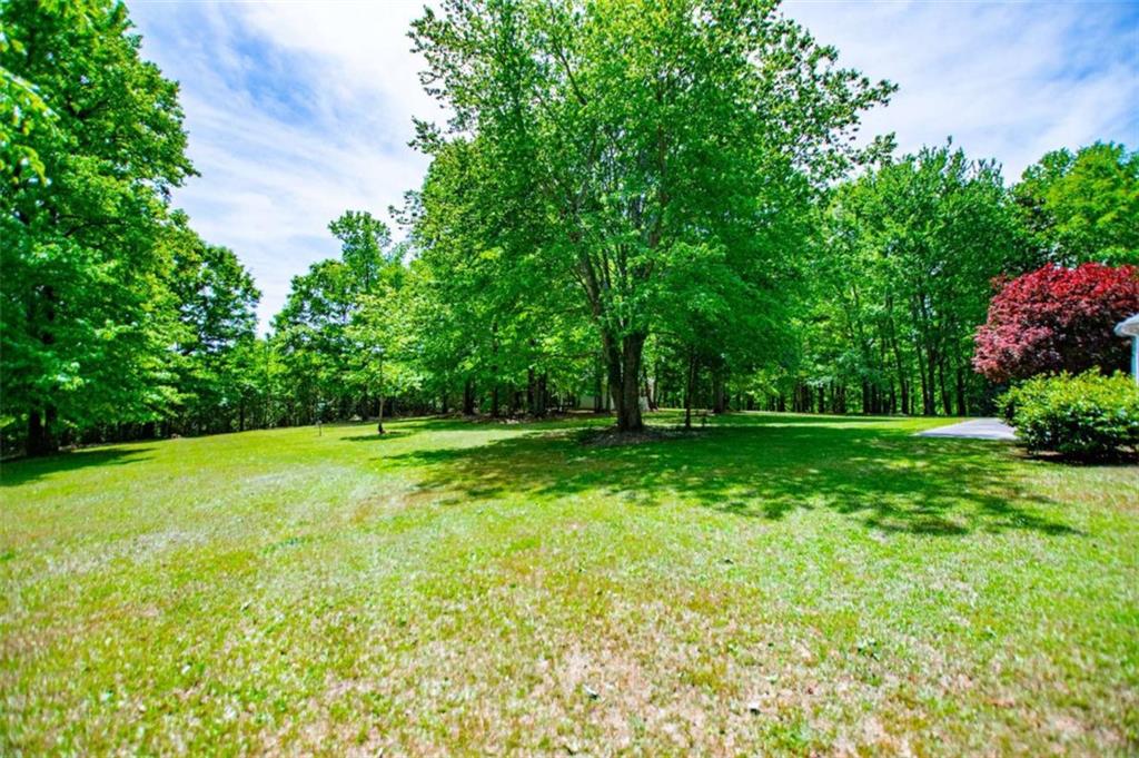 133 Stonegate Trail Property Photo 86