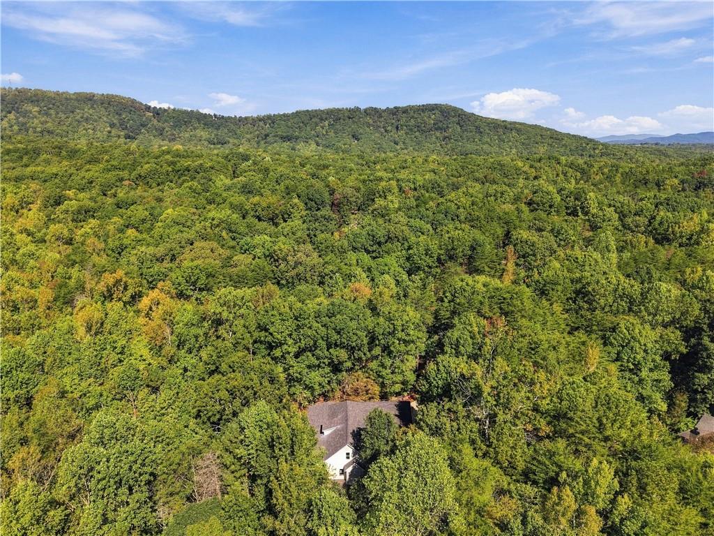 415 Sharp Mountain Parkway Property Photo 68