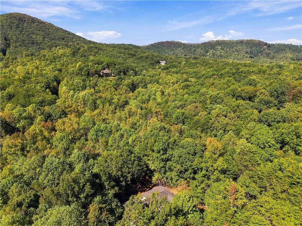 415 Sharp Mountain Parkway Property Photo 69