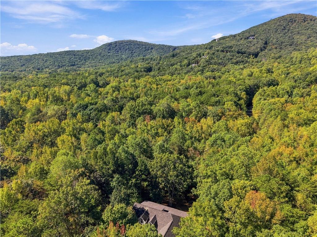 415 Sharp Mountain Parkway Property Photo 70