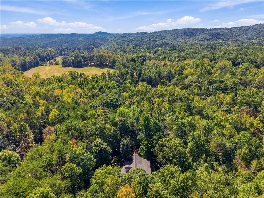 415 Sharp Mountain Parkway Property Photo 71