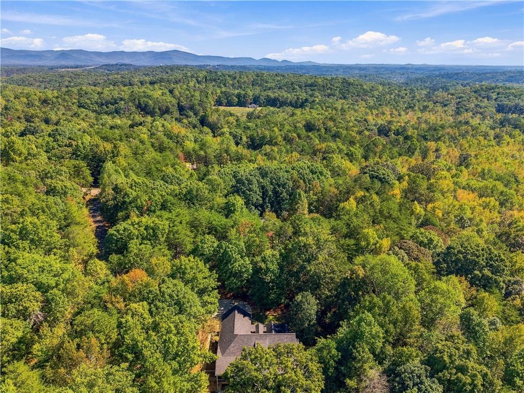 415 Sharp Mountain Parkway Property Photo 73