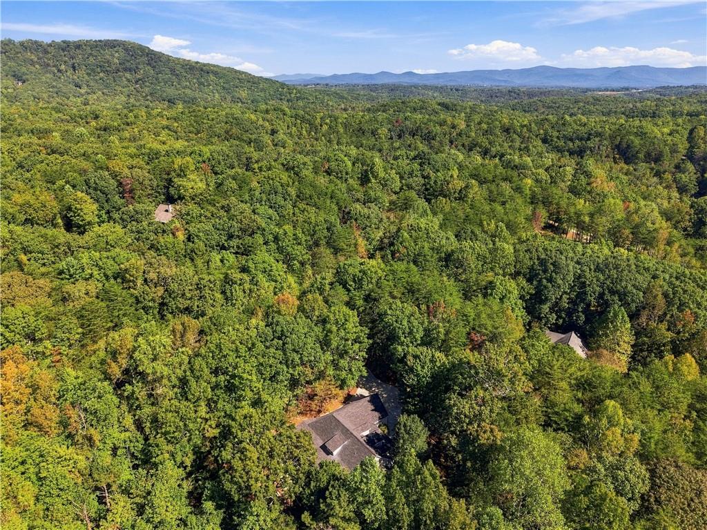 415 Sharp Mountain Parkway Property Photo 74