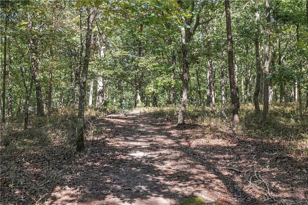 415 Sharp Mountain Parkway Property Photo 90