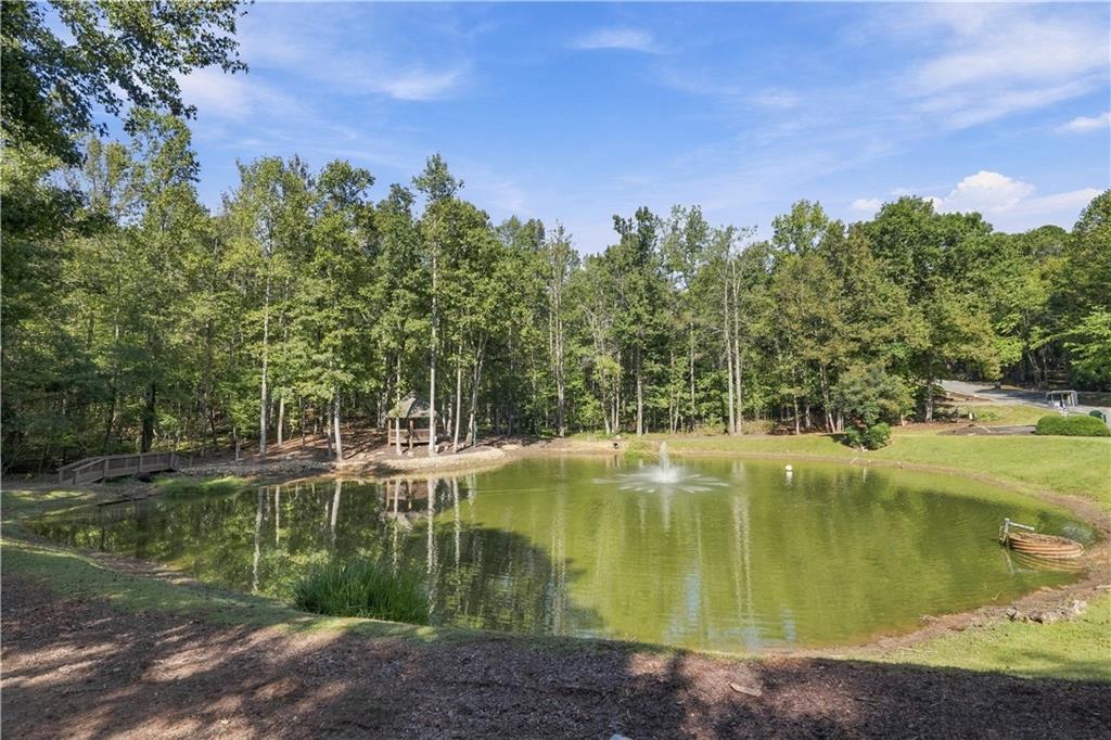 415 Sharp Mountain Parkway Property Photo 92