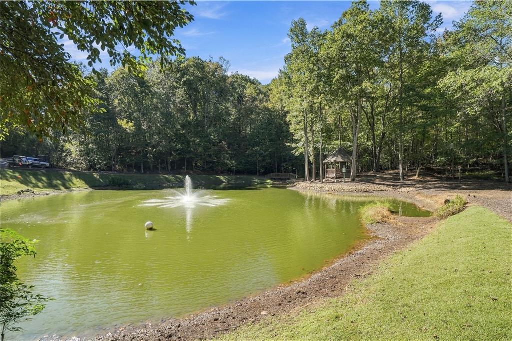 415 Sharp Mountain Parkway Property Photo 97