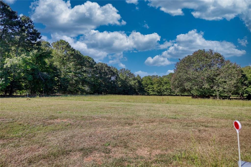164 Womack Road Property Photo 6