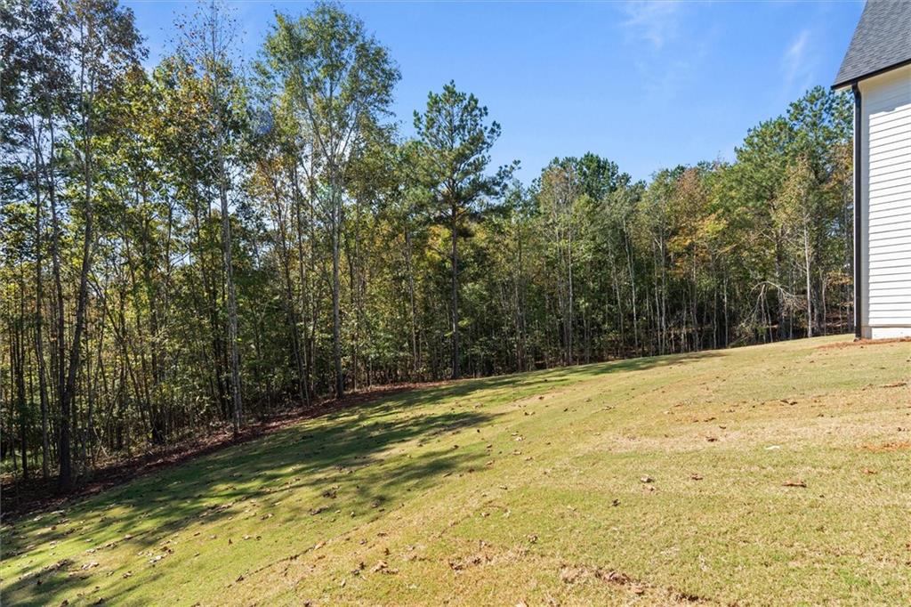 1425 Old Ridgeway Rd Property Photo 47