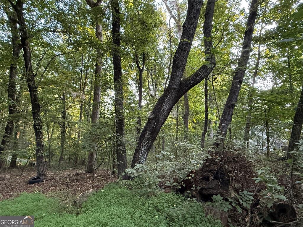 2726 Vaughandale Circle Property Photo 2