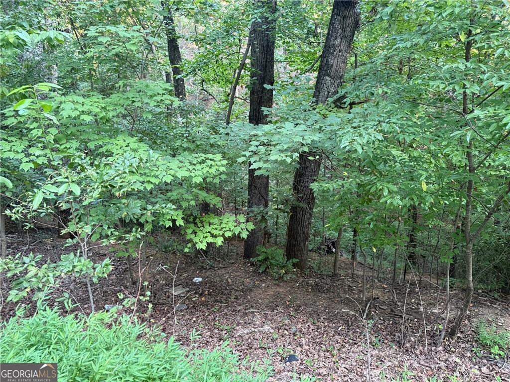 2333 Ford White Road Property Photo 1