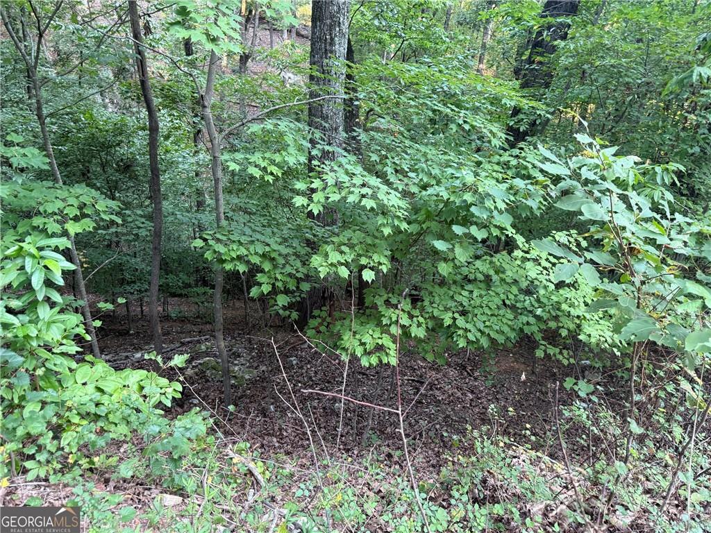 2329 Ford White Road Property Photo 2