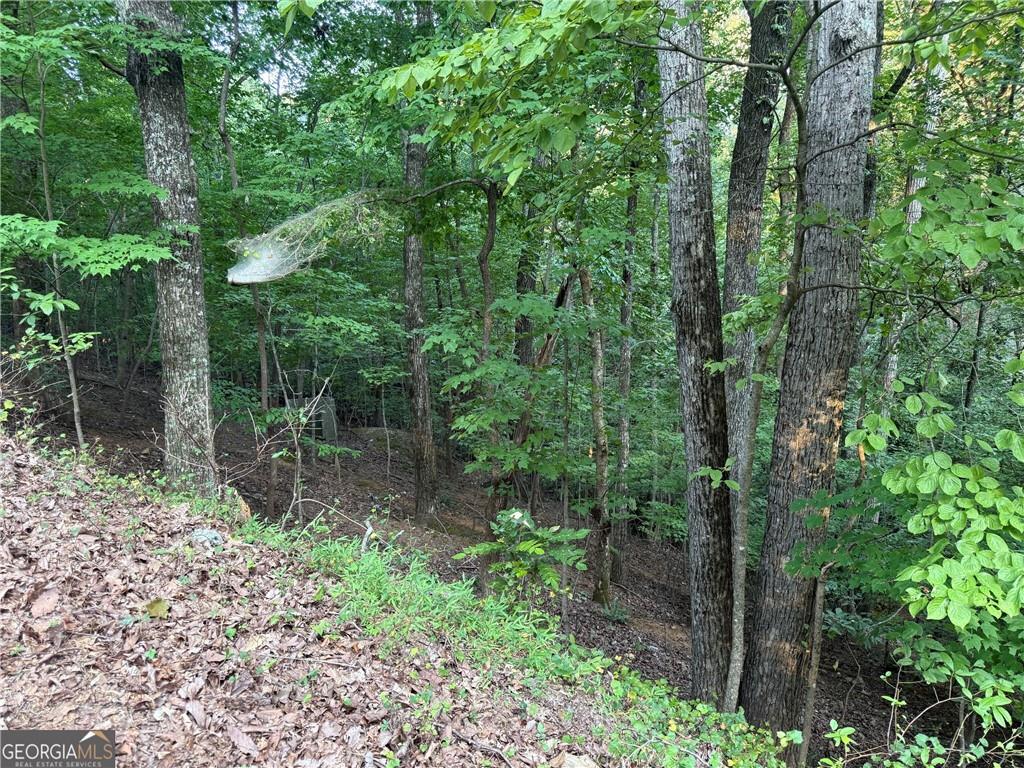 2329 Ford White Road Property Photo 3