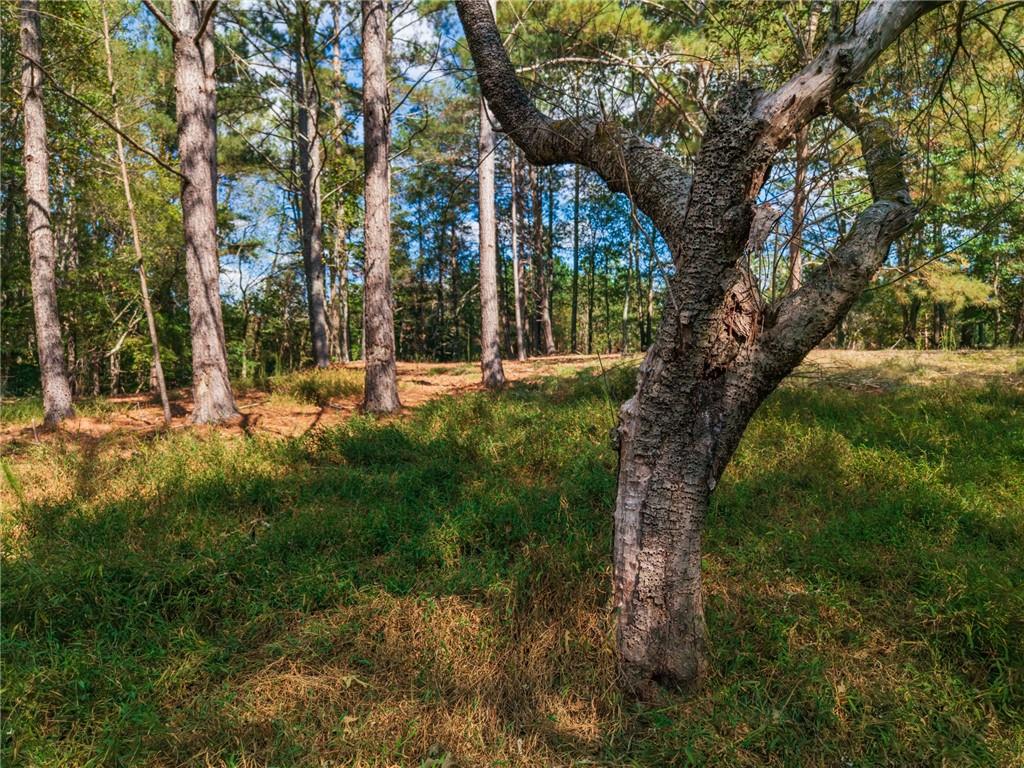 469 Flatbottom Road Property Photo 10