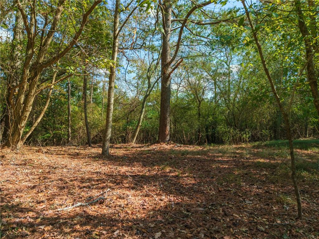 469 Flatbottom Road Property Photo 11