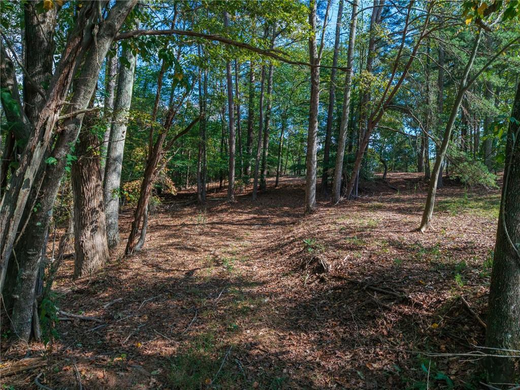 469 Flatbottom Road Property Photo 13