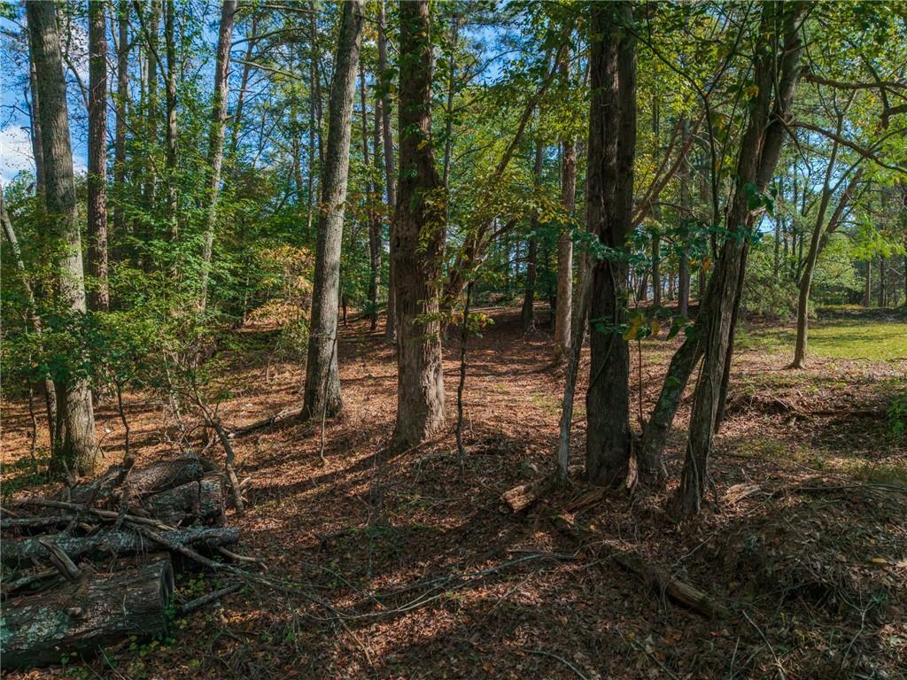 469 Flatbottom Road Property Photo 14