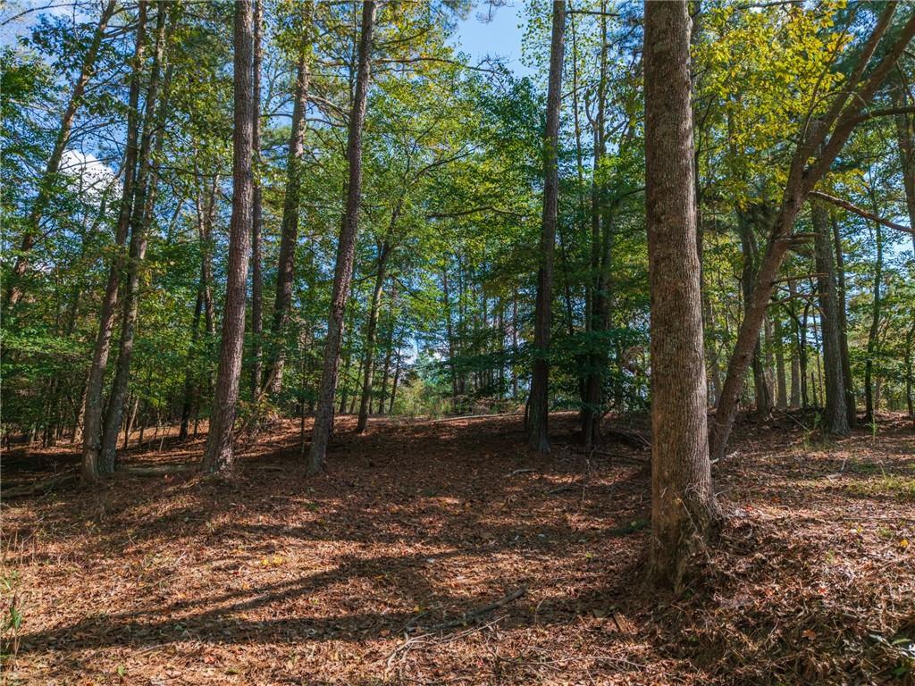 469 Flatbottom Road Property Photo 15