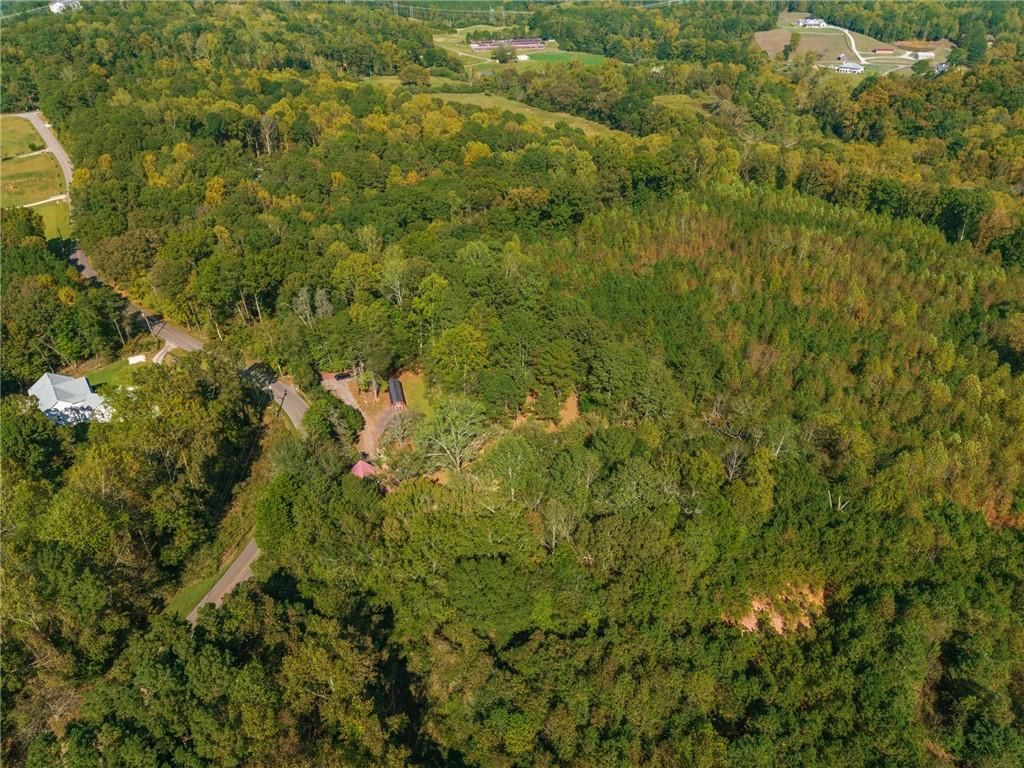 469 Flatbottom Road Property Photo 19