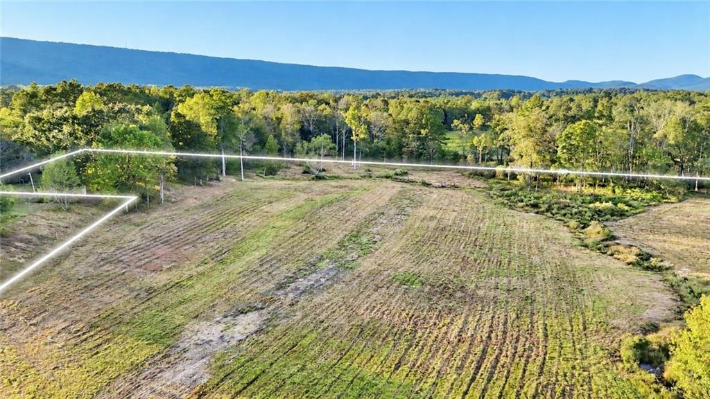 000 Joyce Road Property Photo 16