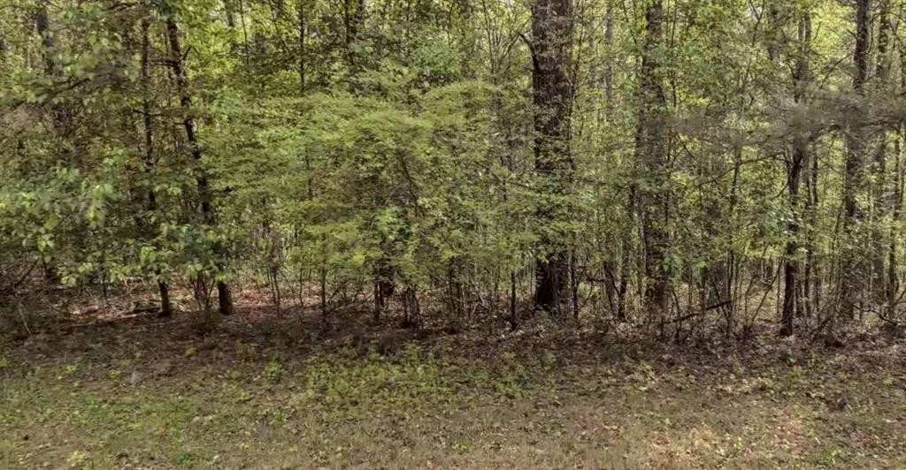 4706 Amber Falls Property Photo 2