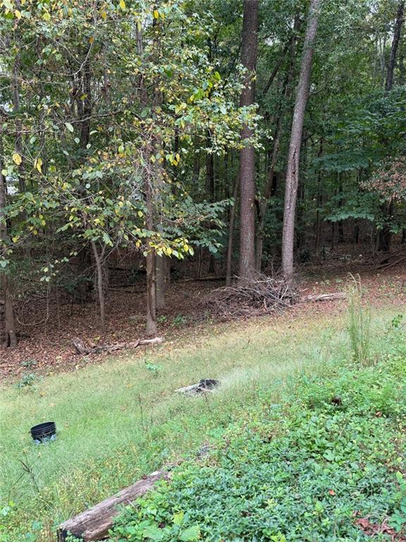 425 Falcon Circle Property Photo 23