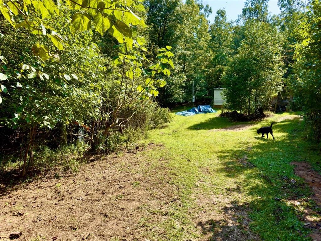 808 Rock Forge Road Property Photo 19