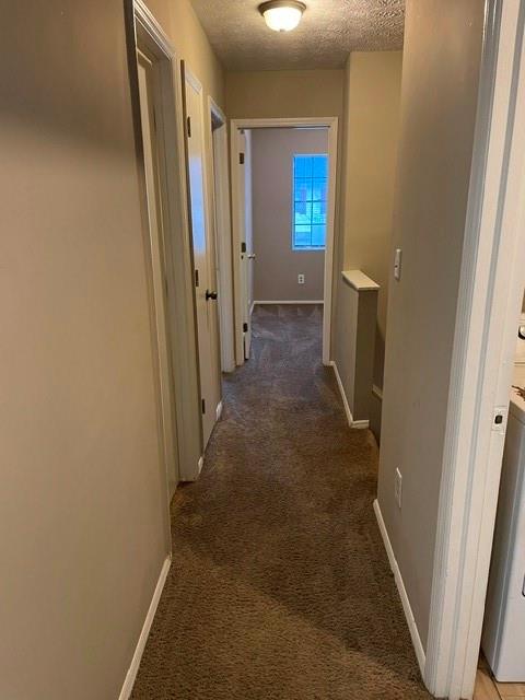 1111 Pine Tree Trail Property Photo 14