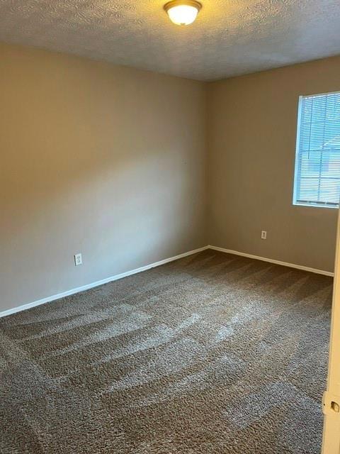 1111 Pine Tree Trail Property Photo 15