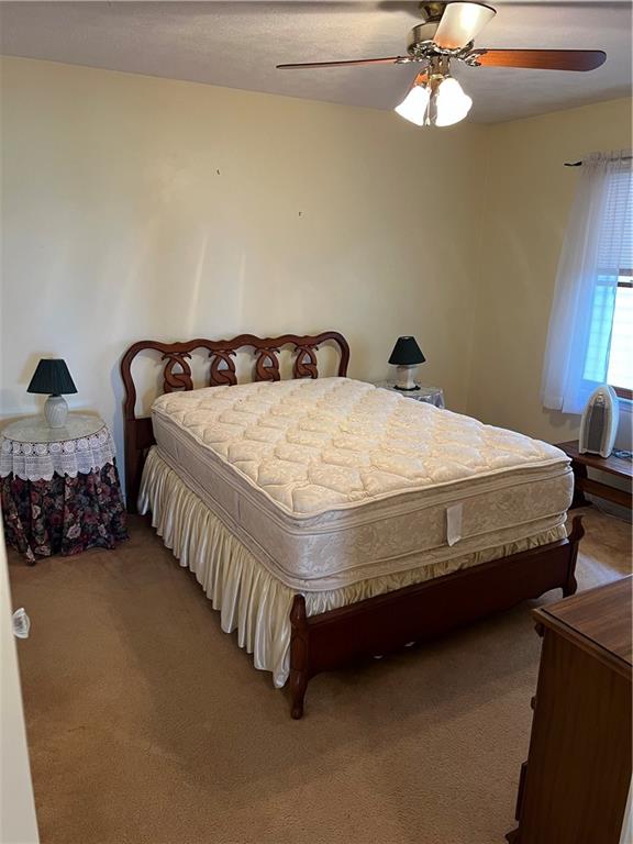 395 Skylark Way Property Photo 37