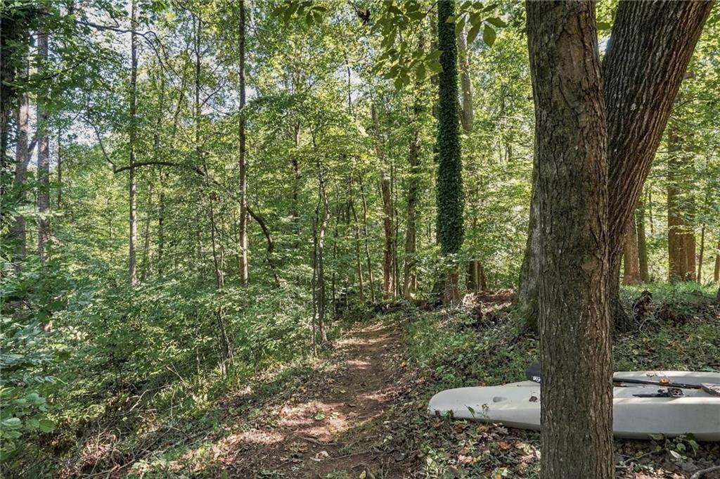 8965 Old Keith Bridge Road Property Photo 51