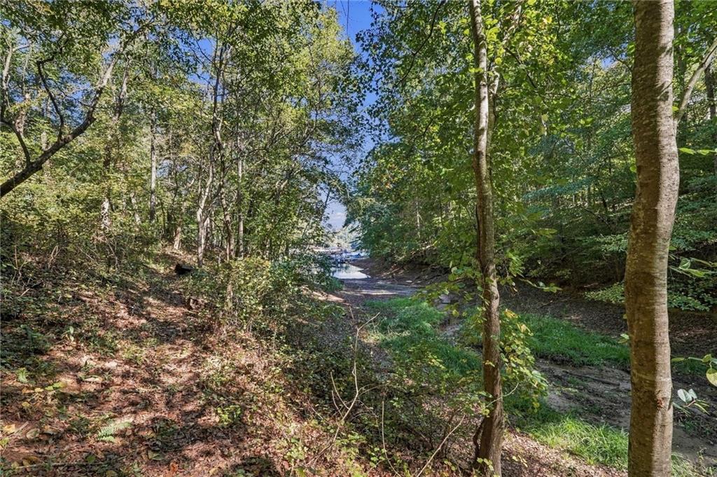 8965 Old Keith Bridge Road Property Photo 54