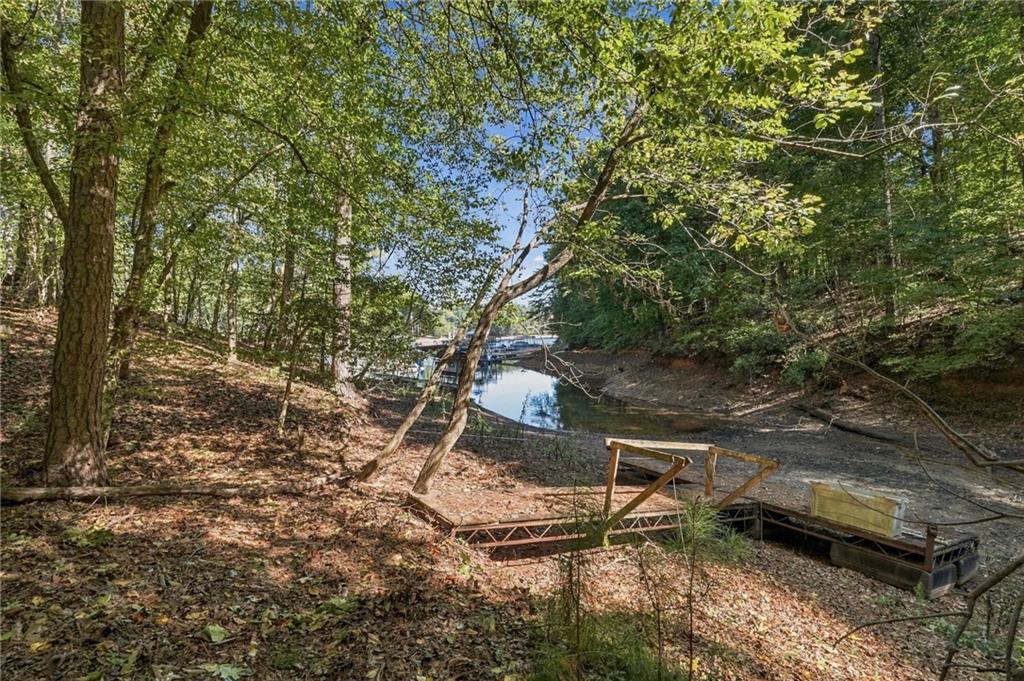 8965 Old Keith Bridge Road Property Photo 55