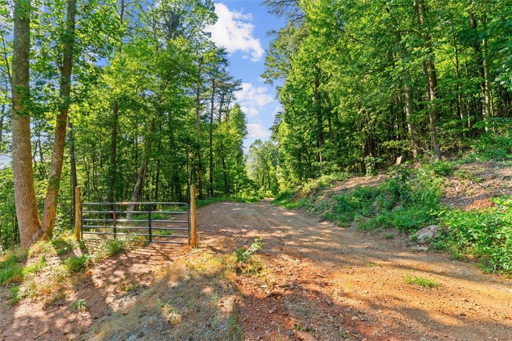 Lt 4-5 Fire Tower Road Property Photo 5