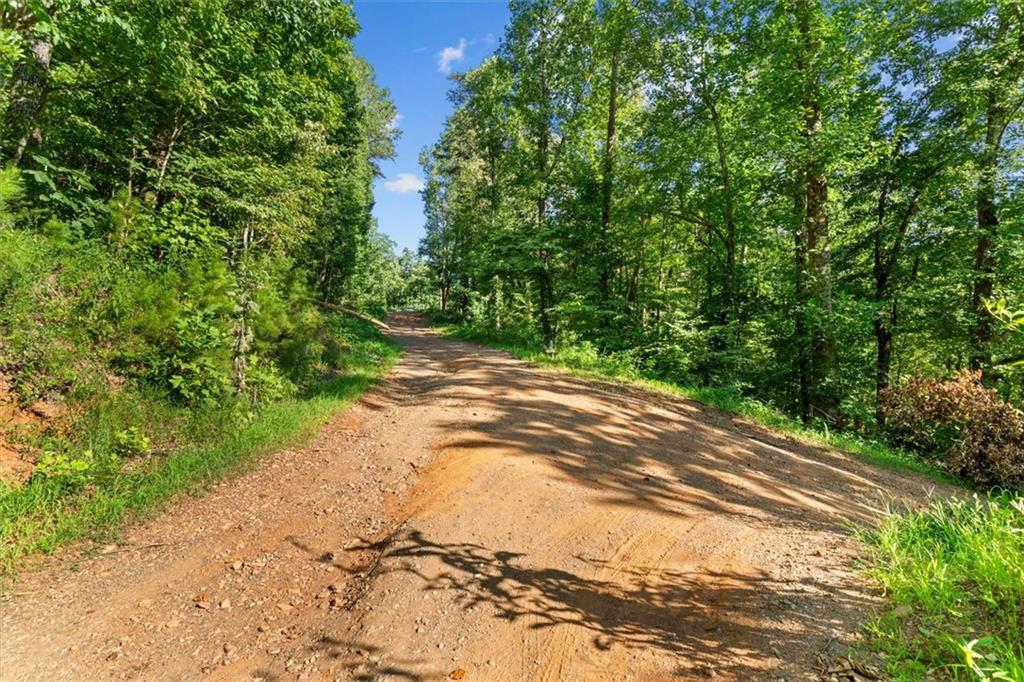 Lt 4-5 Fire Tower Road Property Photo 9