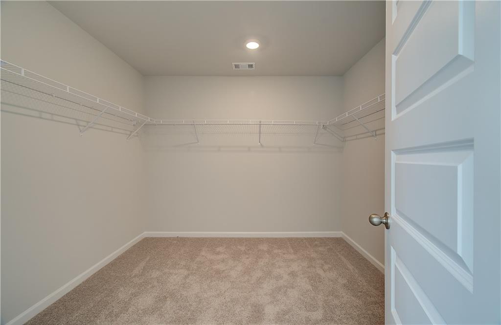 199 Buffalo Trace Property Photo 29