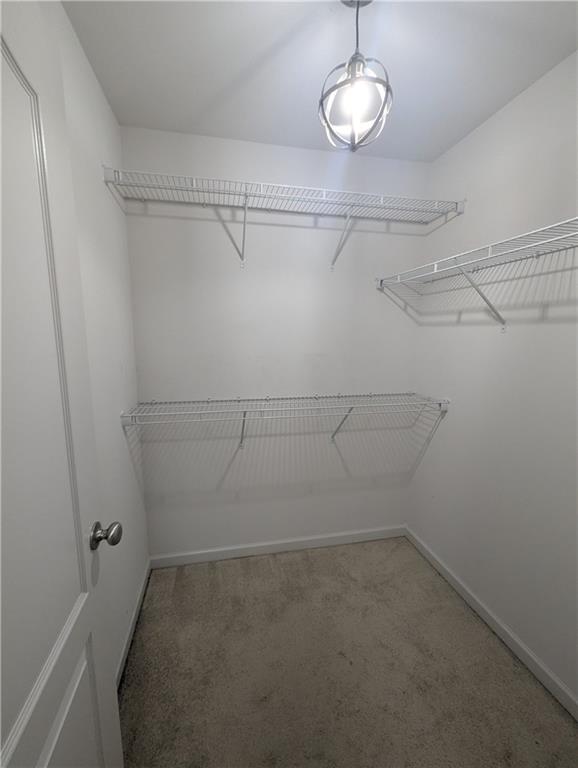 5667 Radford Loop Property Photo 18