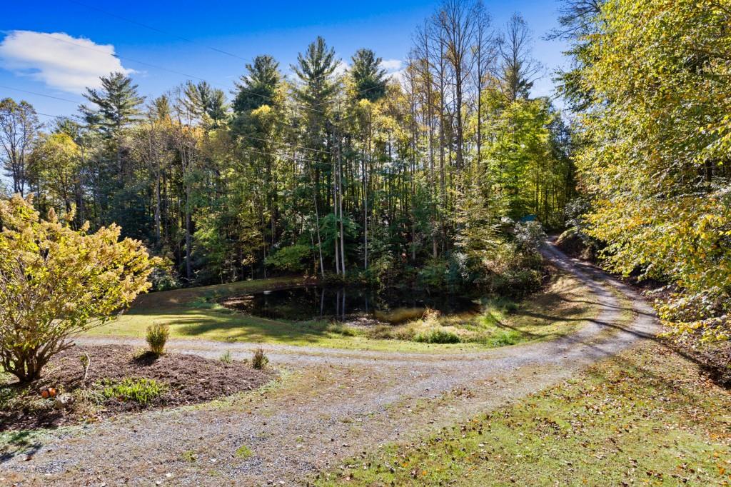 7856555 Property Photo 47