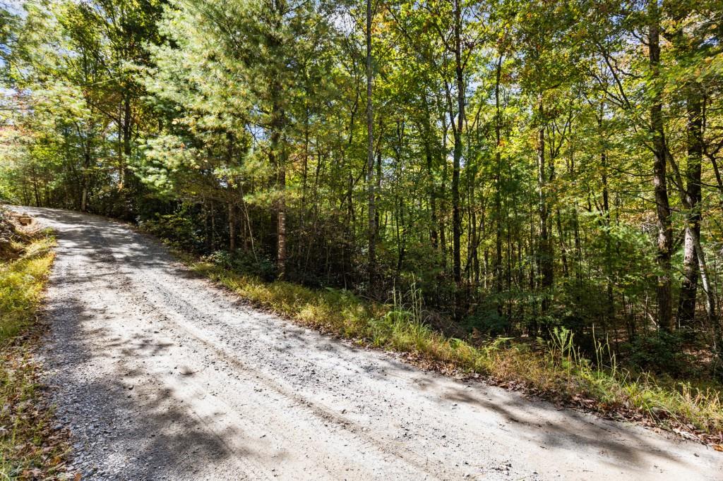 7856555 Property Photo 48