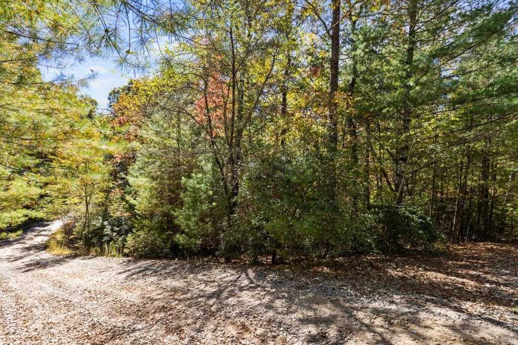 7856555 Property Photo 49