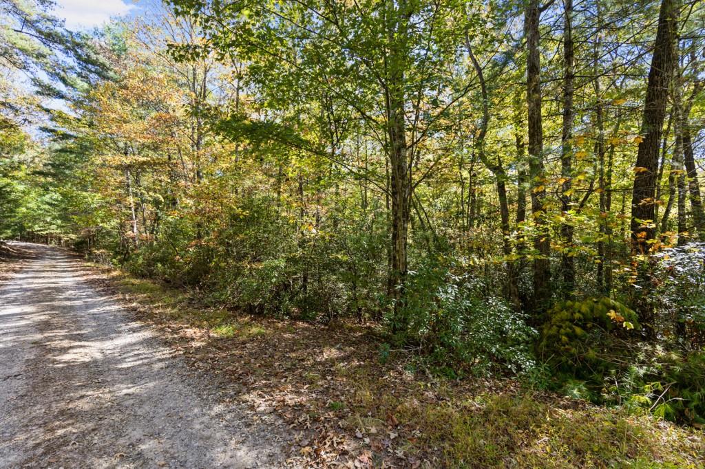 7856555 Property Photo 50