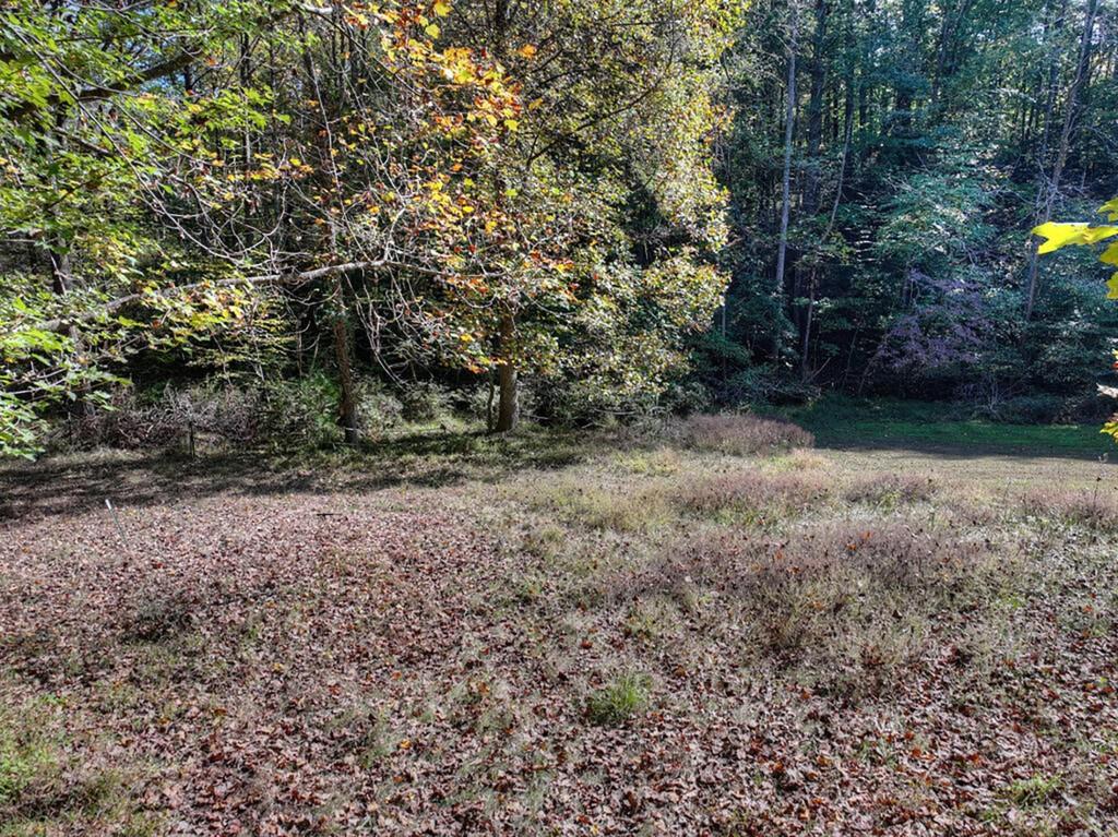 7856555 Property Photo 51