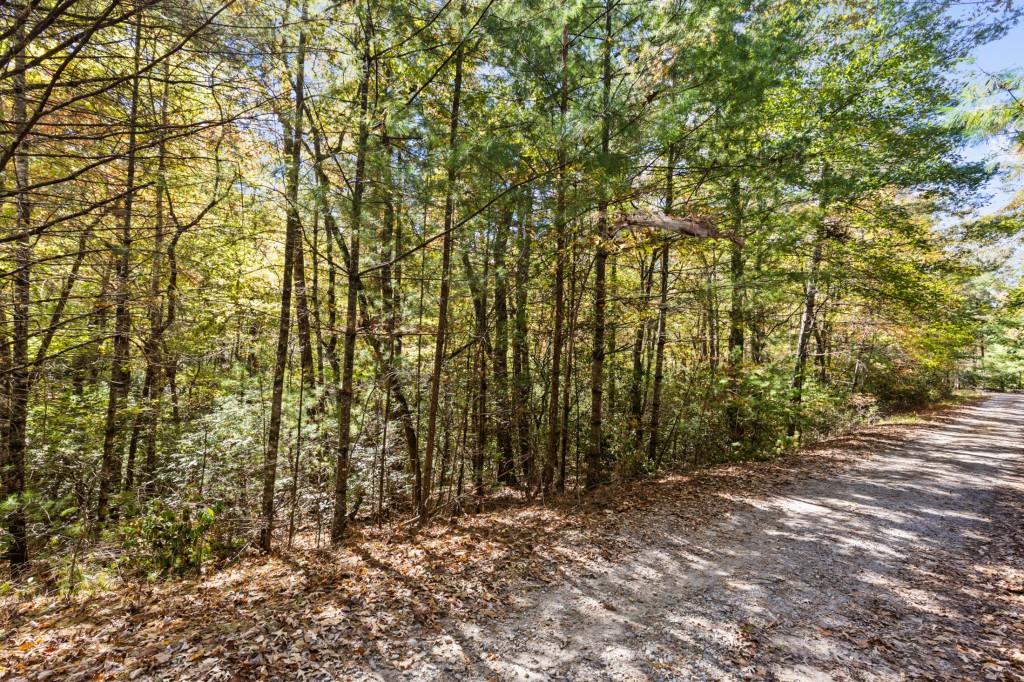 7856555 Property Photo 52