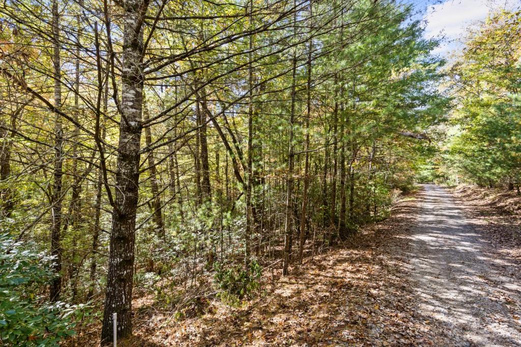 7856555 Property Photo 53