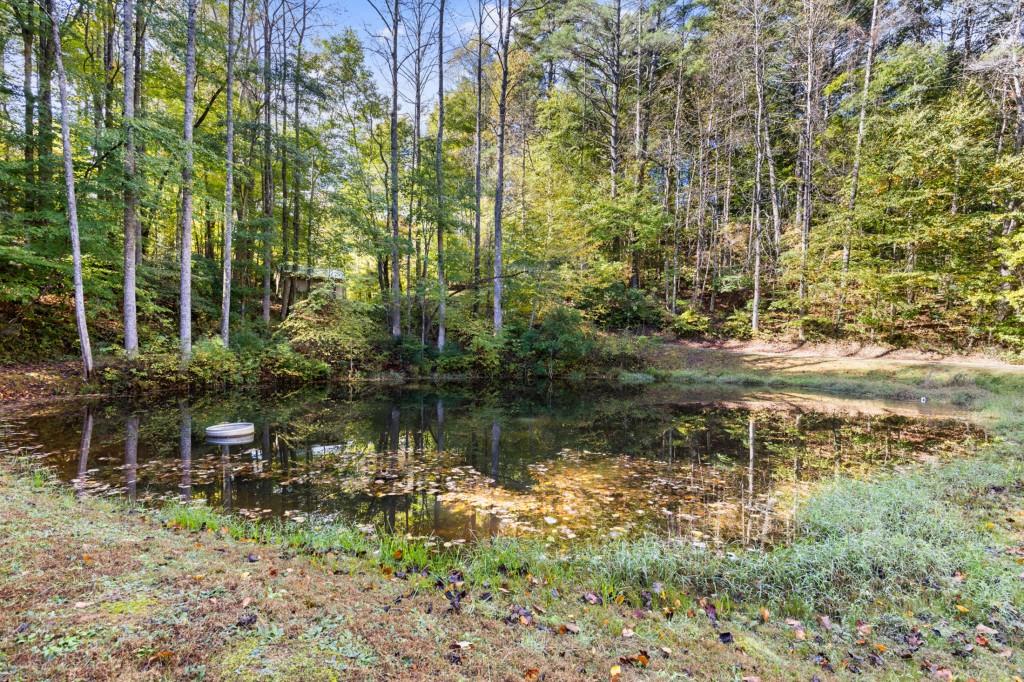 7856555 Property Photo 55