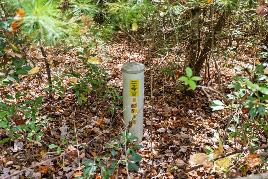 7856555 Property Photo 56