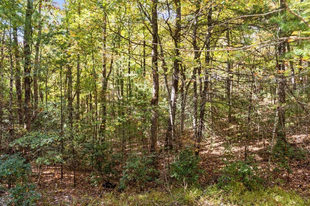 7856555 Property Photo 57