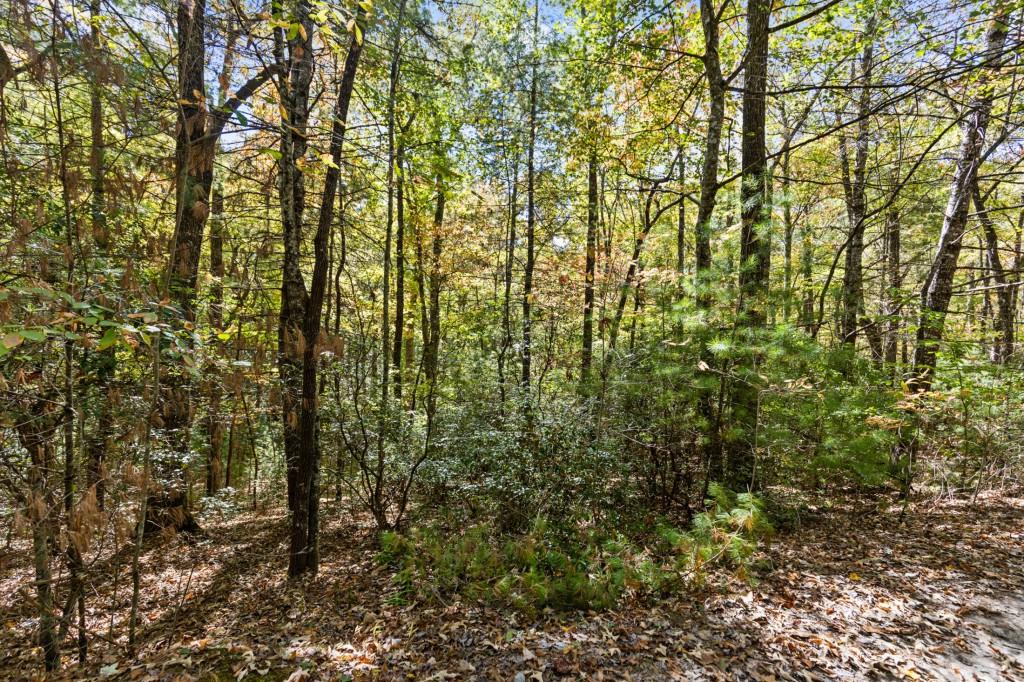 7856555 Property Photo 58