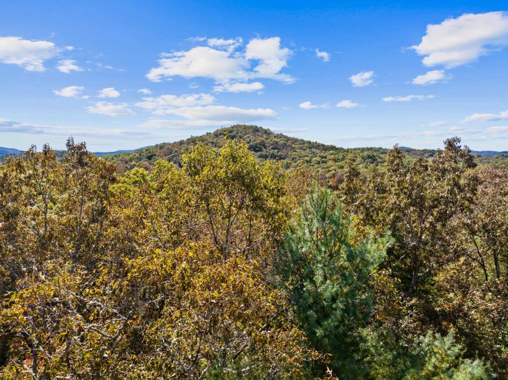 7856555 Property Photo 59